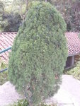P1000311