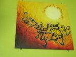 DSCN3177