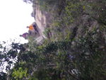 P1010462