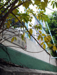 P1030791