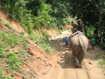 elephant riding