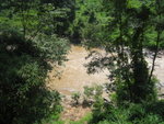 view on elephant