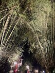 IMG_5061