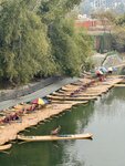 IMG_5268