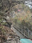 IMG_5587