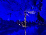 IMG_5676