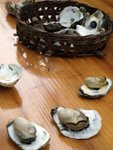 P1040274
