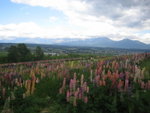 The Flowerland at Furano