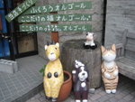 與貓合照
