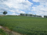 View from bus