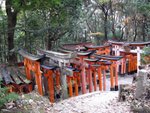 正要下山, 突然見到左邊有條山路去神社, 於是走上來看看