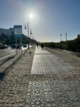 IMG_6656