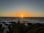 IMG_6696