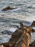 IMG_6698