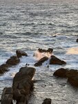 IMG_6703