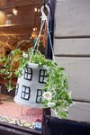 舊城區小店