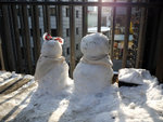 雪人曬太陽