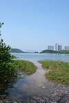 離開東涌市中心