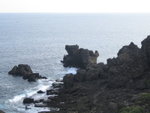 貓鼻頭(像隻貓嗎?)