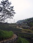 梯田