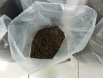 烘焙後的咖啡豆