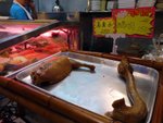 好恐怖!