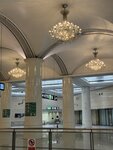 IMG_4054