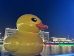 IMG_4076