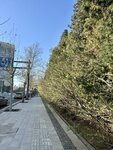 IMG_4132