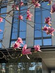 IMG_4148