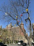 IMG_4170