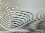 IMG_4296