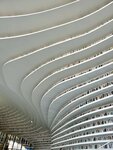 IMG_4297