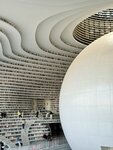 IMG_4303