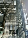 IMG_4309