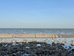 IMG_4314