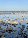 IMG_4316