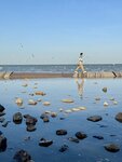IMG_4328