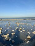 IMG_4338
