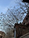 IMG_4359