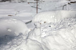 小雪人