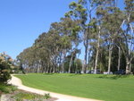 Kings Park