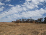 On the top of Wave Rock