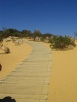A footpath in desert