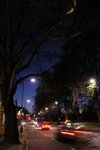 第二天早上七點, 便去Hyde Park晨運