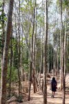 正午時間行上山
