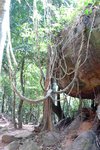 途中遇上外星怪物