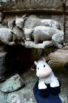 牛vs牛