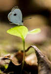 IMG_0158