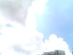 NEC_9431